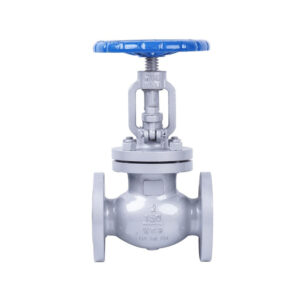 Globe Valves